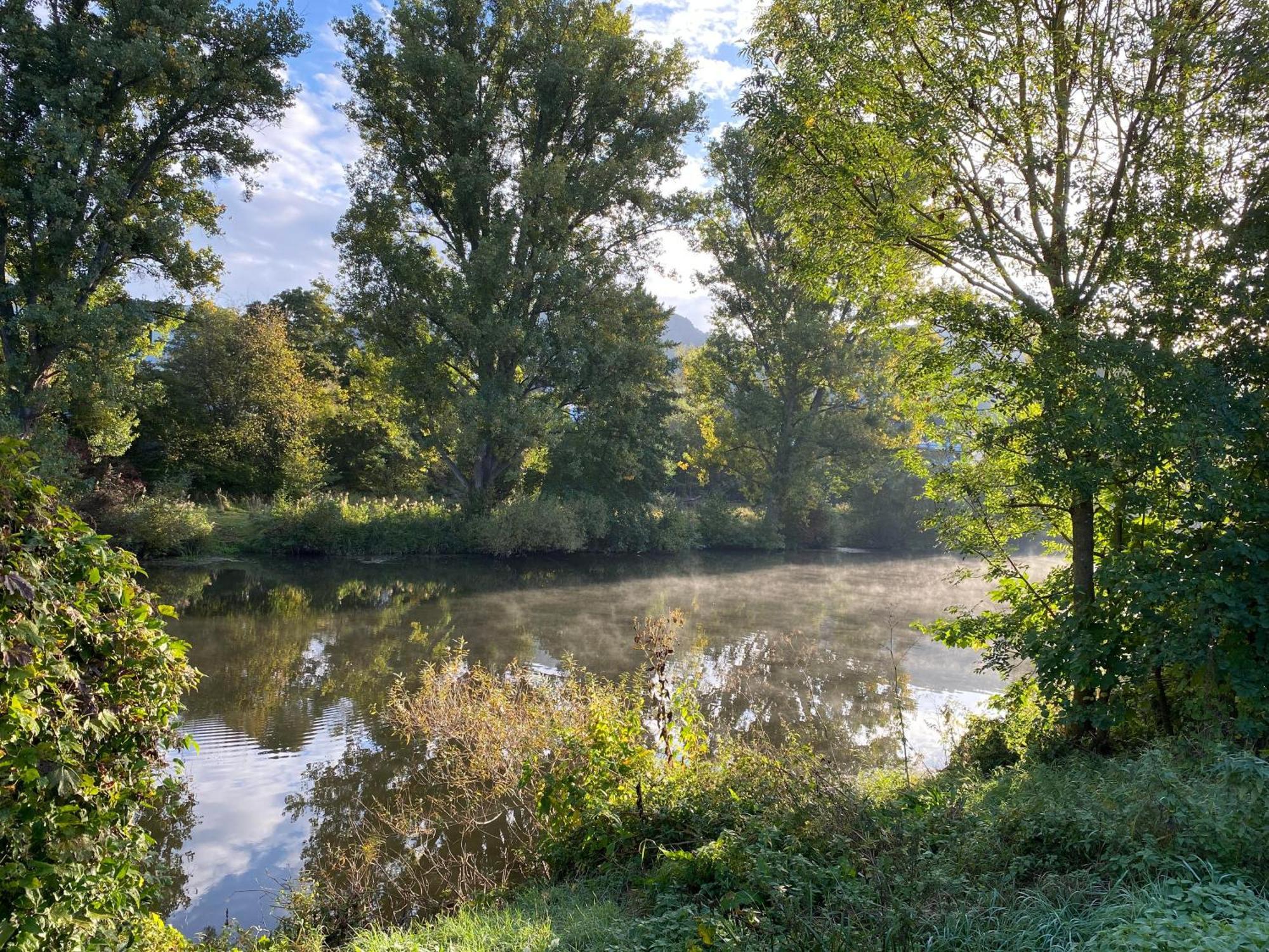 Ferienhaus Am Fluss. Baubiologisch Renoviert. Bad Kreuznach Exteriér fotografie